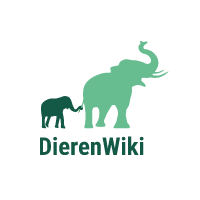 (c) Dierenwiki.nl